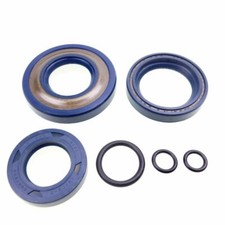 Simmering Simmerringe Motor